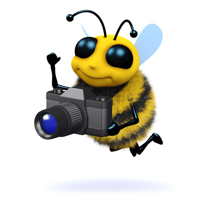 Honey Bee with Camera